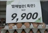 미국산 계란 근황