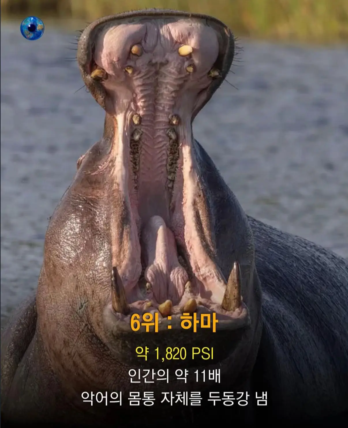 AhaTok_eartheye.kr_8f428908-f45c-4fcf-802b-6896c5ad3ea4_.jpg