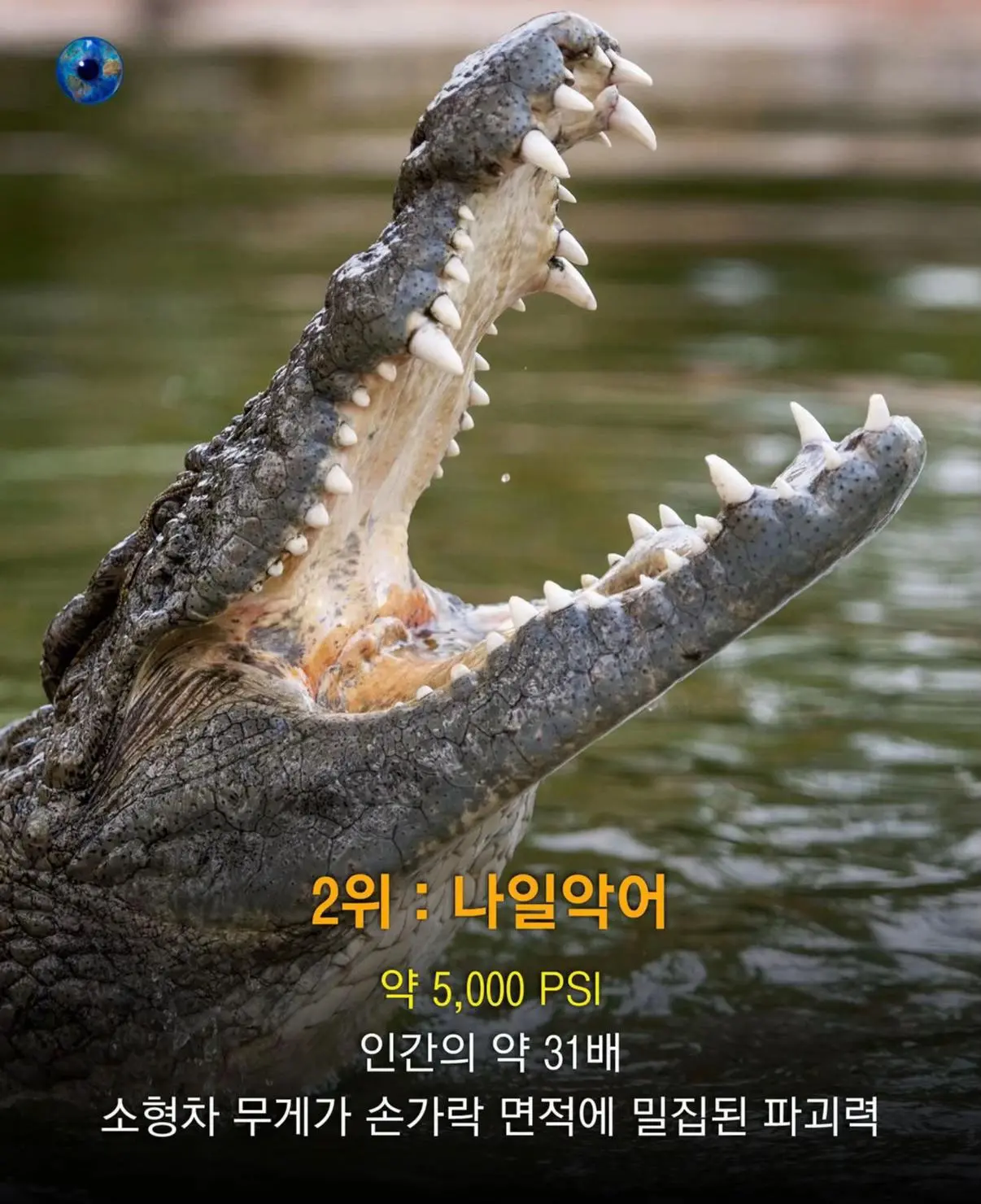 AhaTok_eartheye.kr_a24b0434-21a5-40c9-8eb0-6c6875ff0202_.jpg