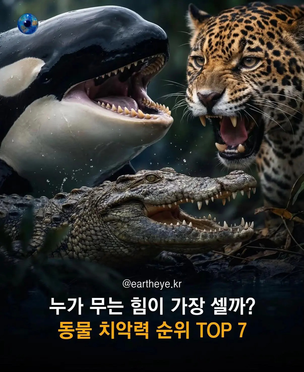 AhaTok_eartheye.kr_f319afca-7bdd-4a6d-8fd9-9c1d89d4909b_.jpg