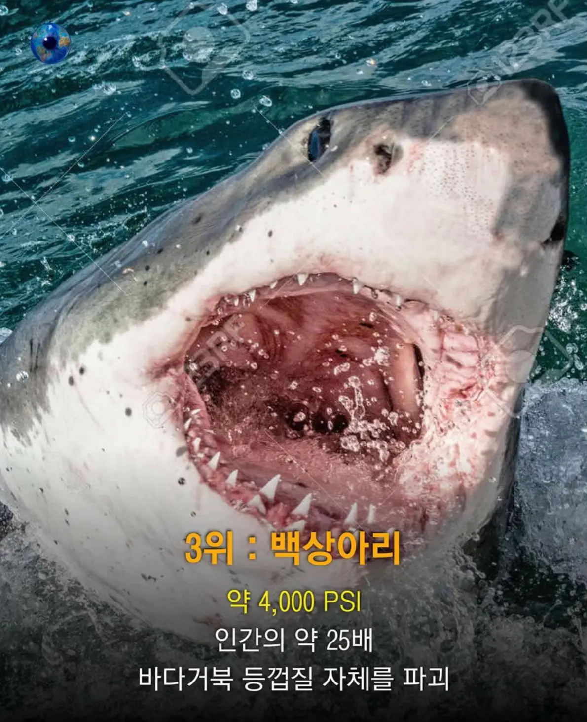 AhaTok_eartheye.kr_8bcd1581-7919-4b2e-af45-a31c35edaa60_.jpg