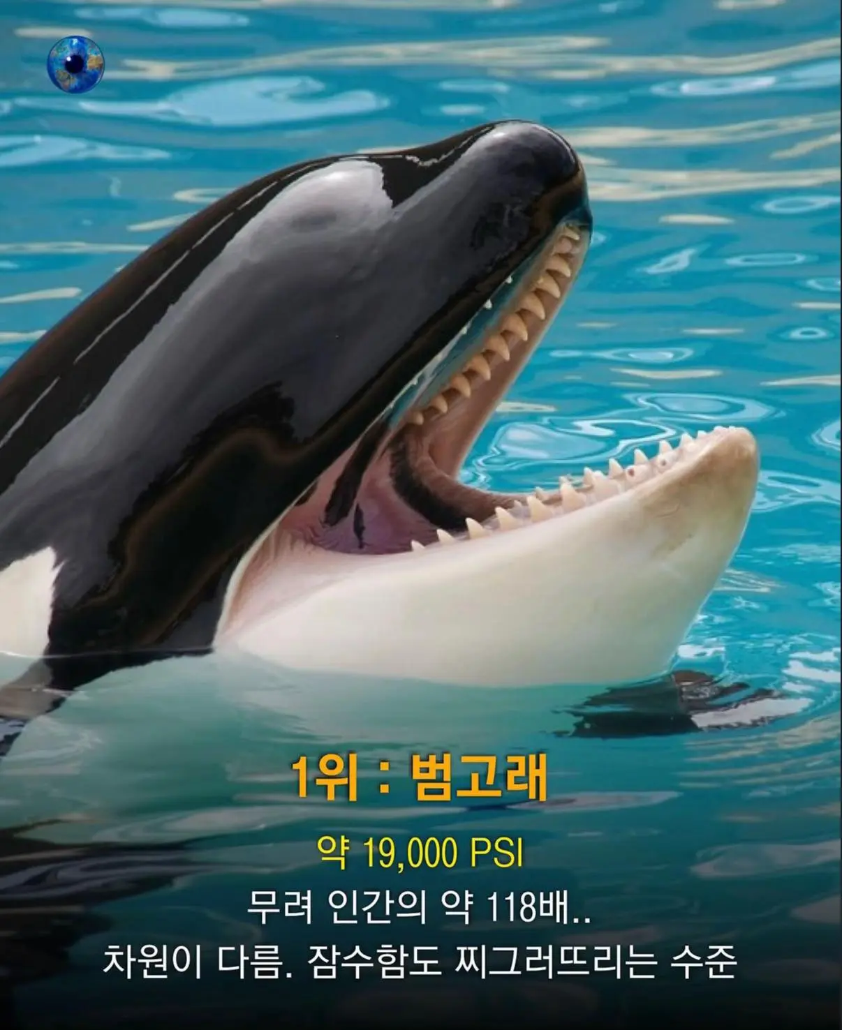 AhaTok_eartheye.kr_4aaf35b5-1819-41e2-ad6b-6d57ceab2093_.jpg