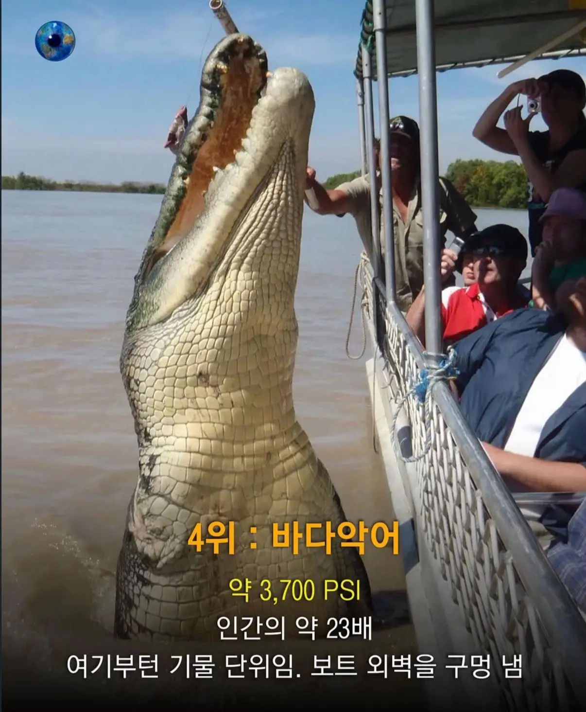 AhaTok_eartheye.kr_3c860245-f9e8-4694-80b5-08d2b5ad6412_.jpg