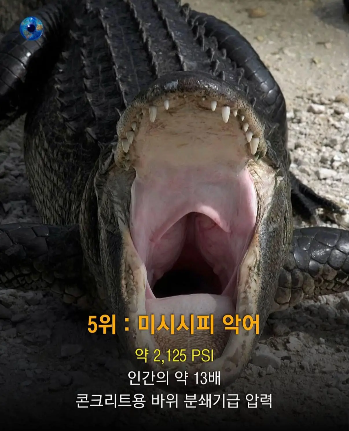 AhaTok_eartheye.kr_905d750c-dad8-42eb-8ff0-1f8fdd23ccb3_.jpg