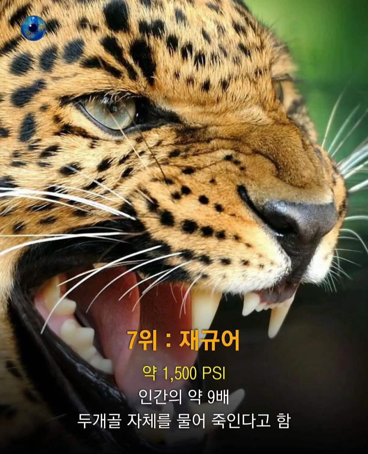 AhaTok_eartheye.kr_d0bdc80c-a77a-49ea-be26-947599a6be7d_.jpg