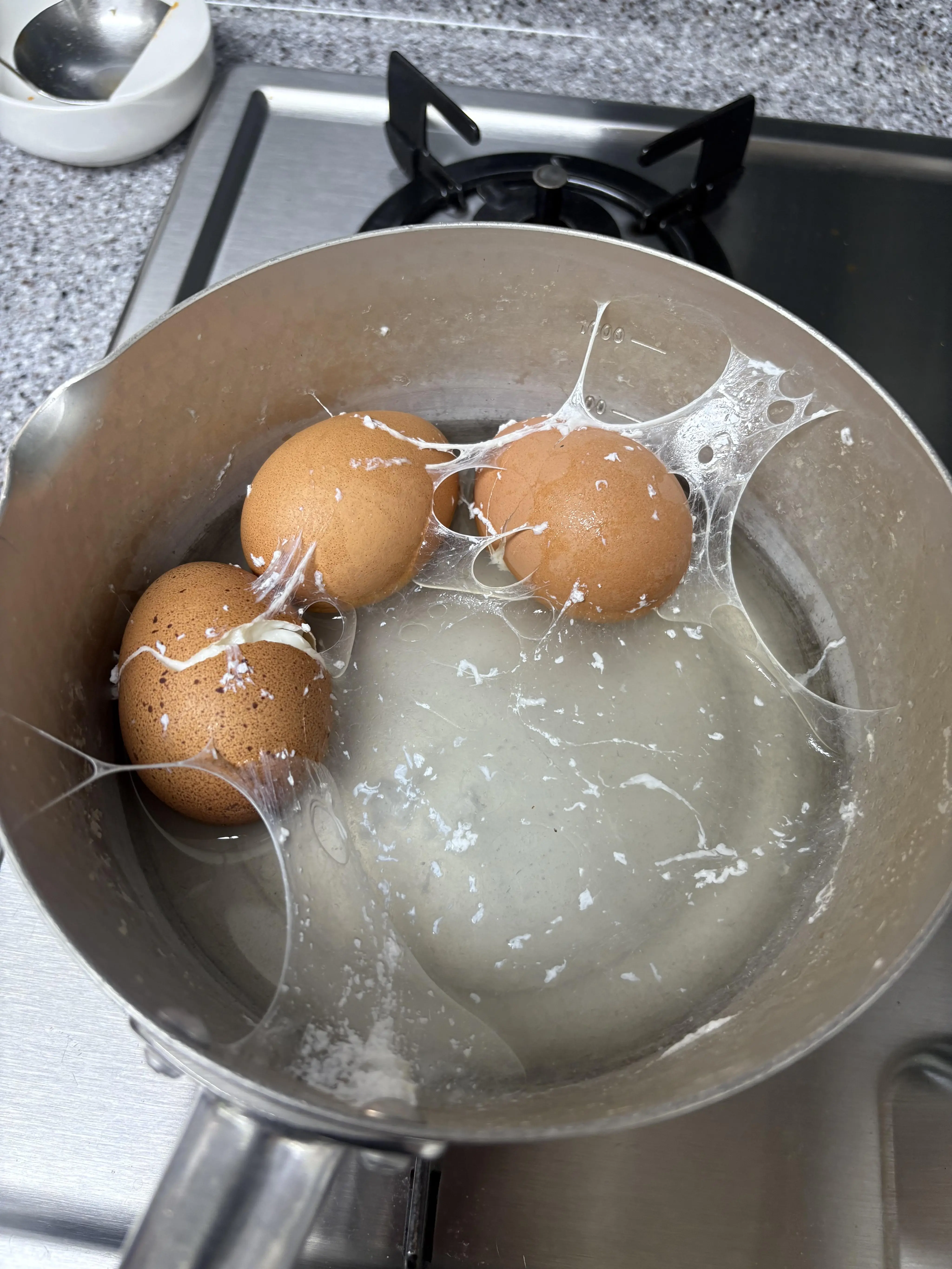 IMG_3733.jpeg.jpg