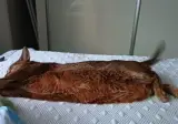 에어컨 고장3 (수리 완료)