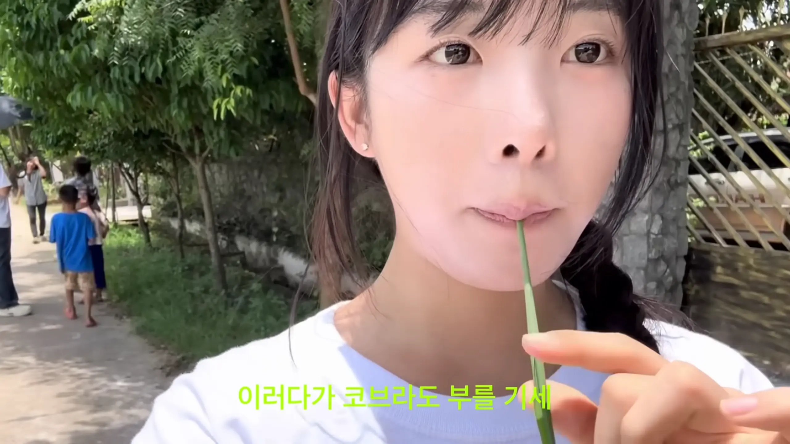 스크린샷(2642).png