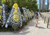 용산공원 근황 ㄷㄷ jpg