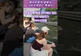 외국인들에게 서울 관광 아이콘 처럼 됐다는 청계천 새들