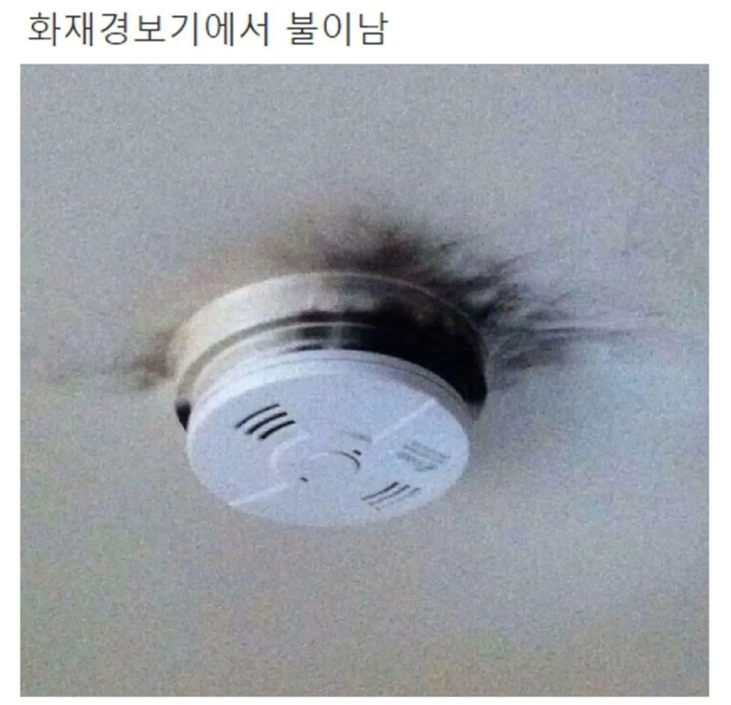 Internet_20260808_145300_9.jpeg