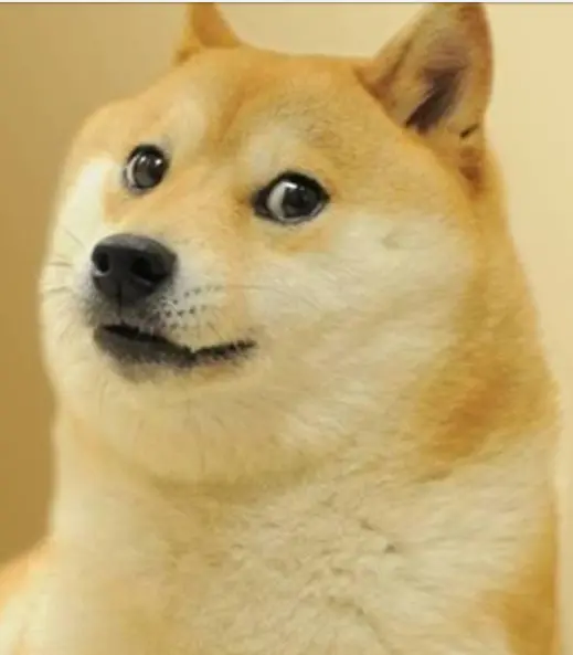 5.jpg.png