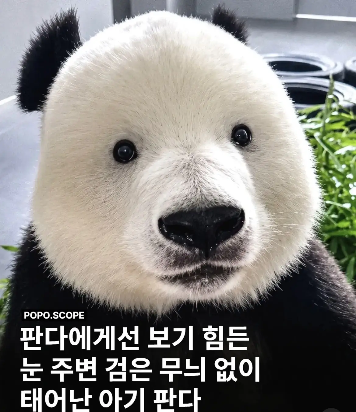 1.webp