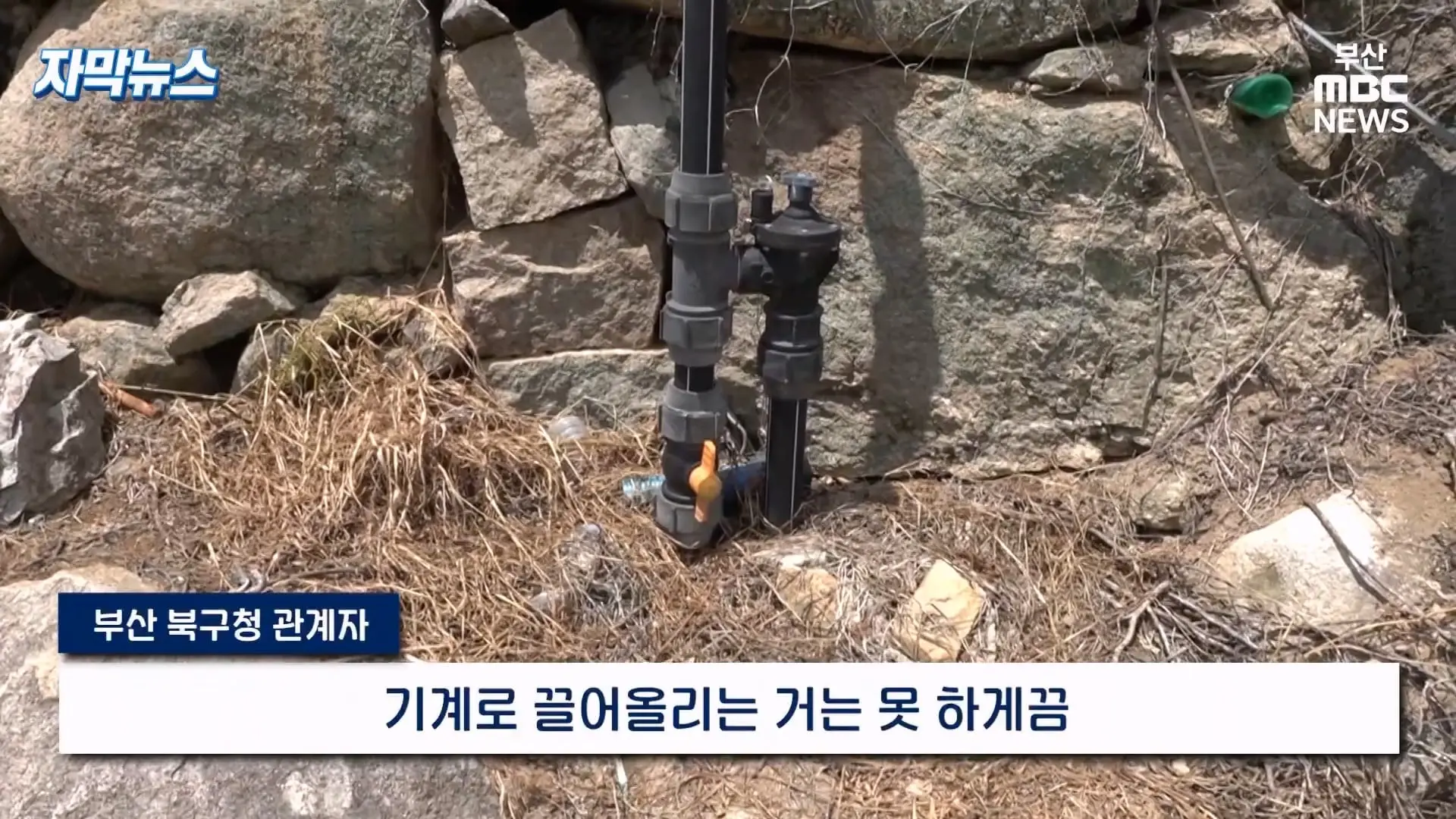 금정산 드넓은 블루베리 농장. 취재 중에 나타난 업주의 변명 _ 자막뉴스_20260808_151039.192.jpg