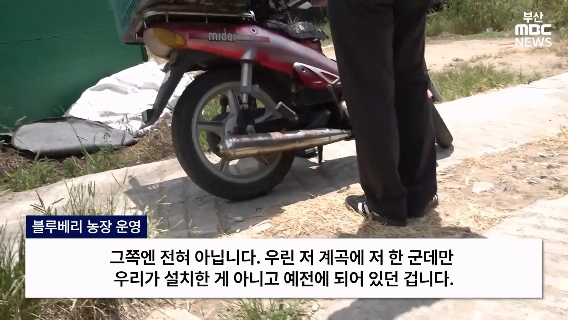 금정산 드넓은 블루베리 농장. 취재 중에 나타난 업주의 변명 _ 자막뉴스_20260808_150707.761.jpg