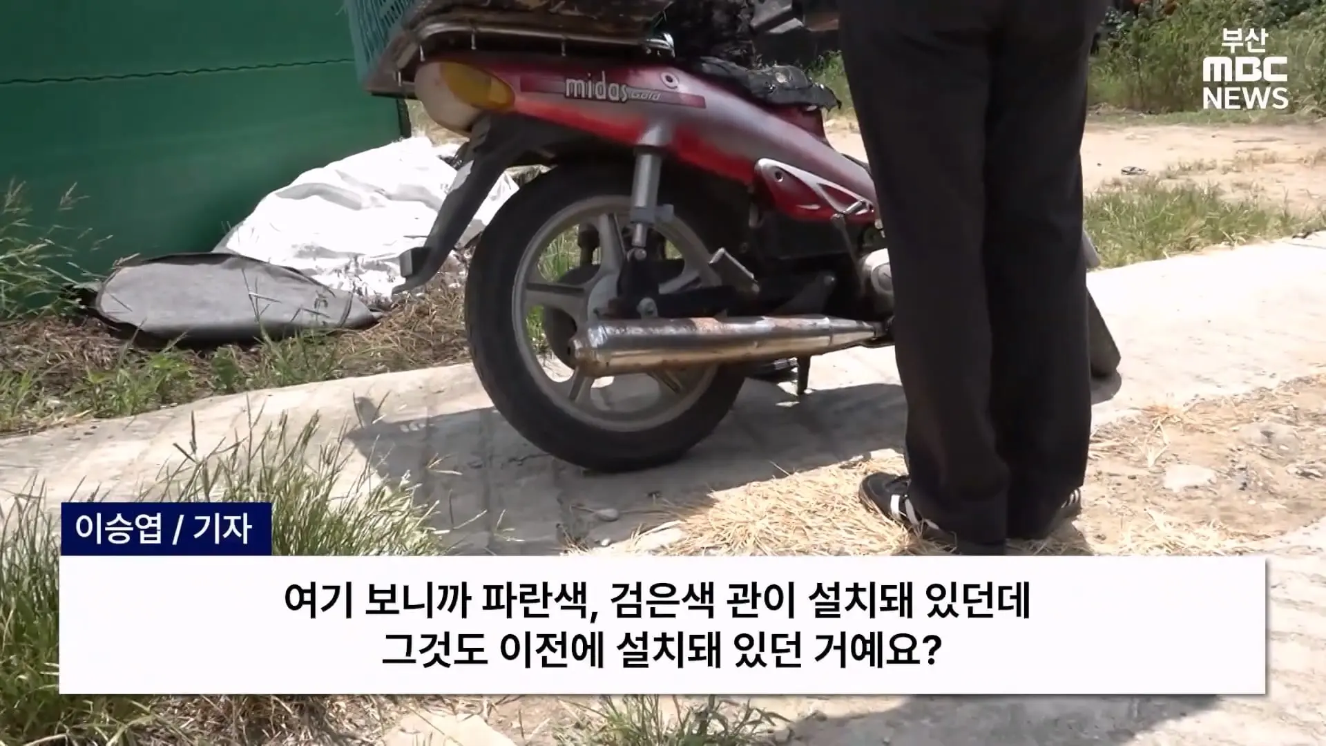 금정산 드넓은 블루베리 농장. 취재 중에 나타난 업주의 변명 _ 자막뉴스_20260808_150650.400.jpg