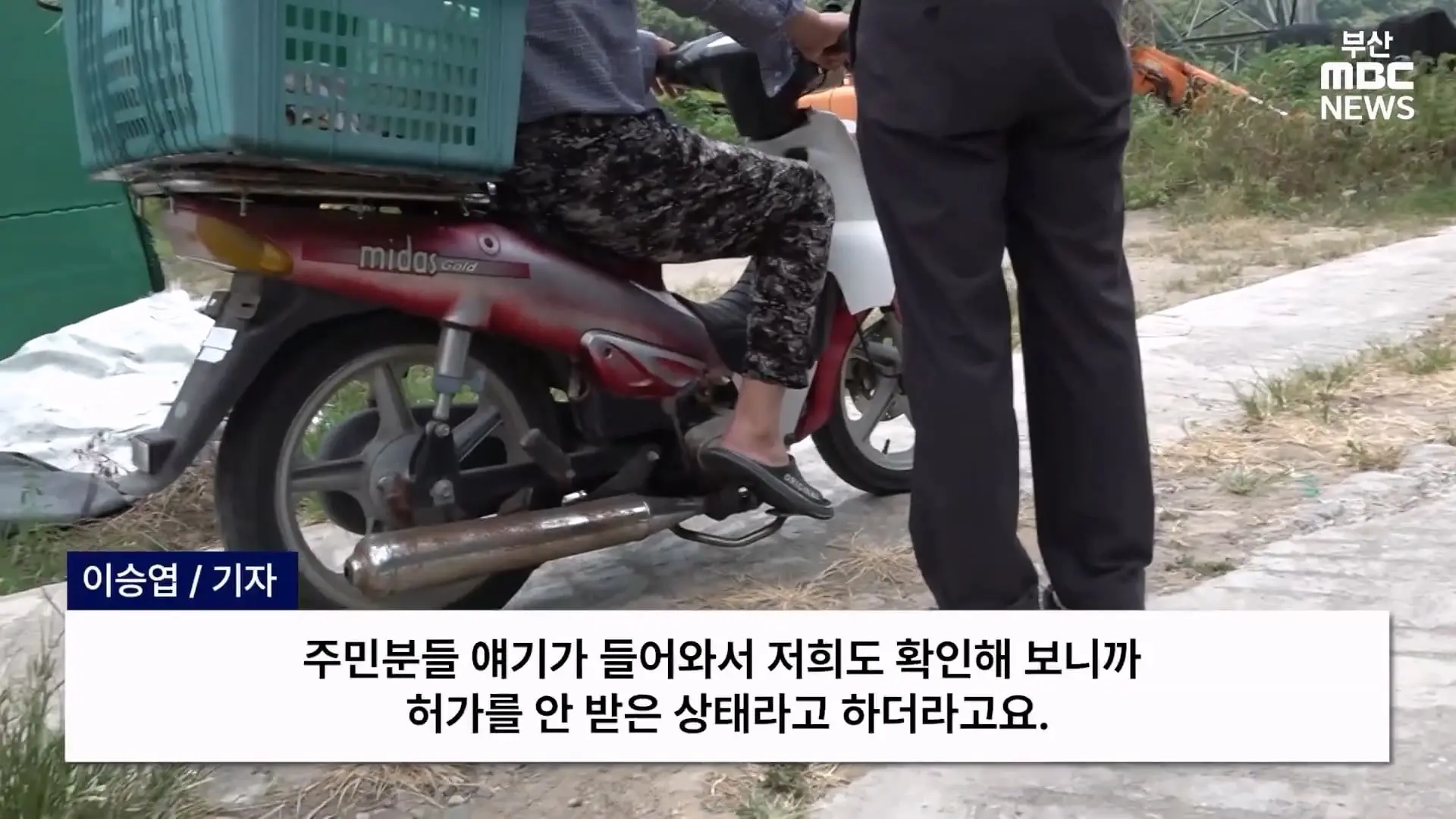 금정산 드넓은 블루베리 농장. 취재 중에 나타난 업주의 변명 _ 자막뉴스_20260808_150340.297.jpg