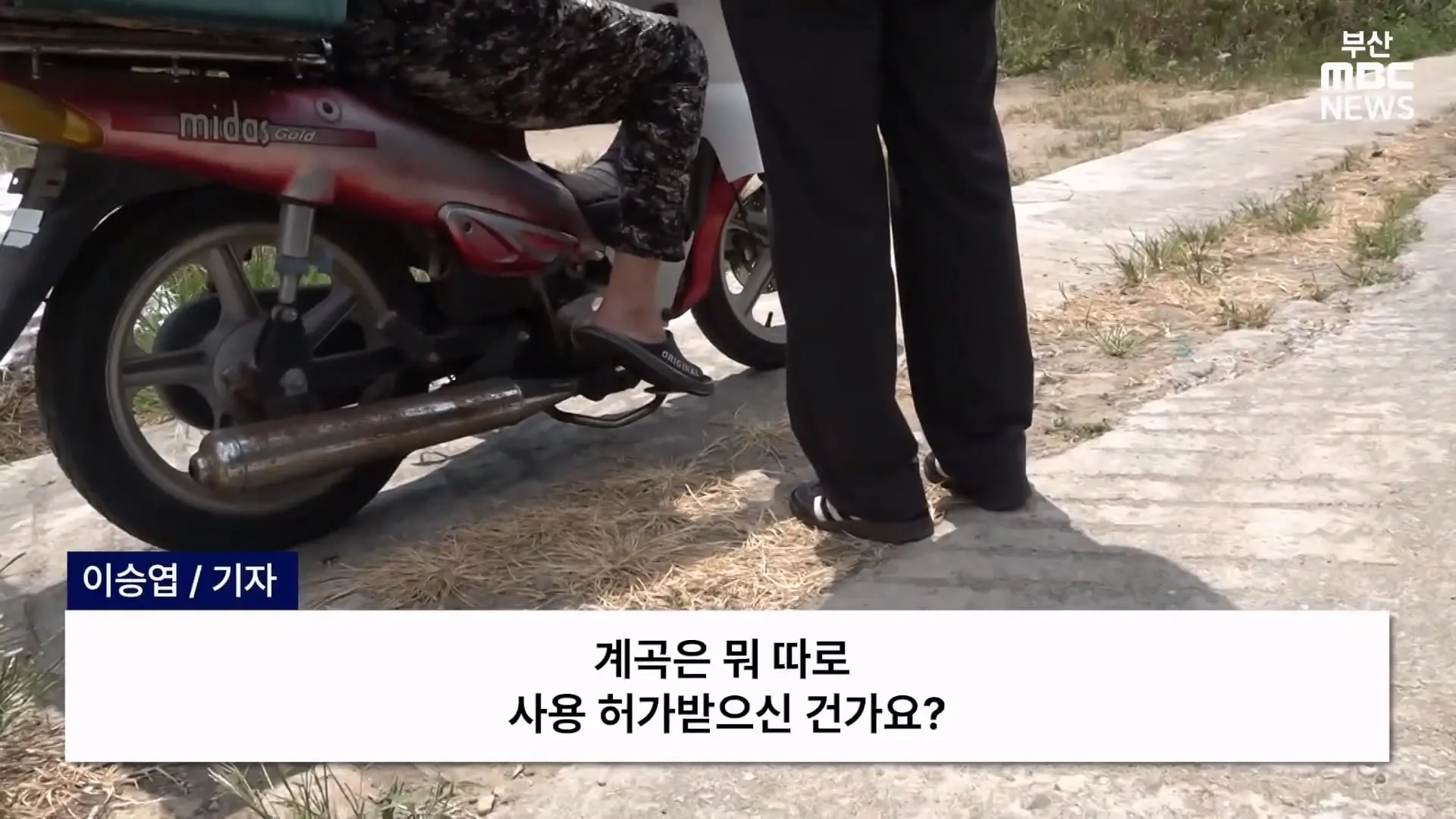 금정산 드넓은 블루베리 농장. 취재 중에 나타난 업주의 변명 _ 자막뉴스_20260808_150256.809.jpg