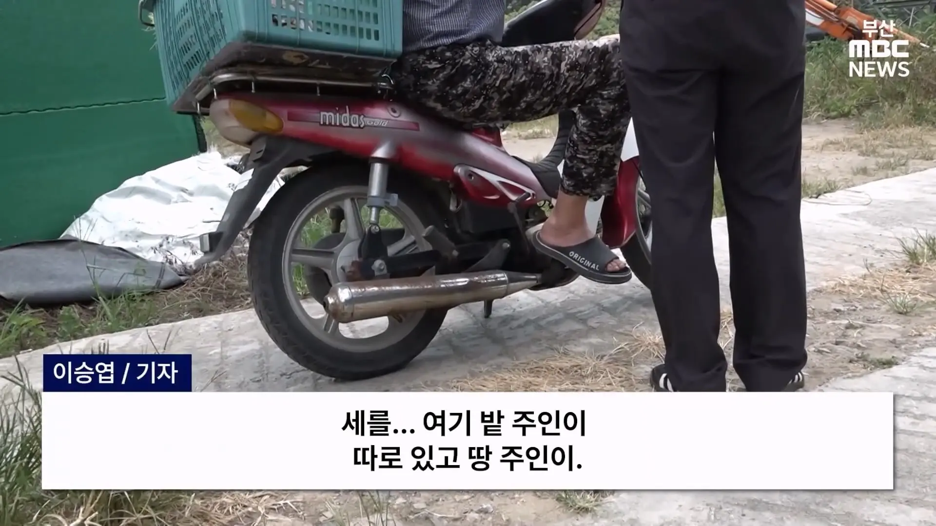 금정산 드넓은 블루베리 농장. 취재 중에 나타난 업주의 변명 _ 자막뉴스_20260808_150423.009.jpg