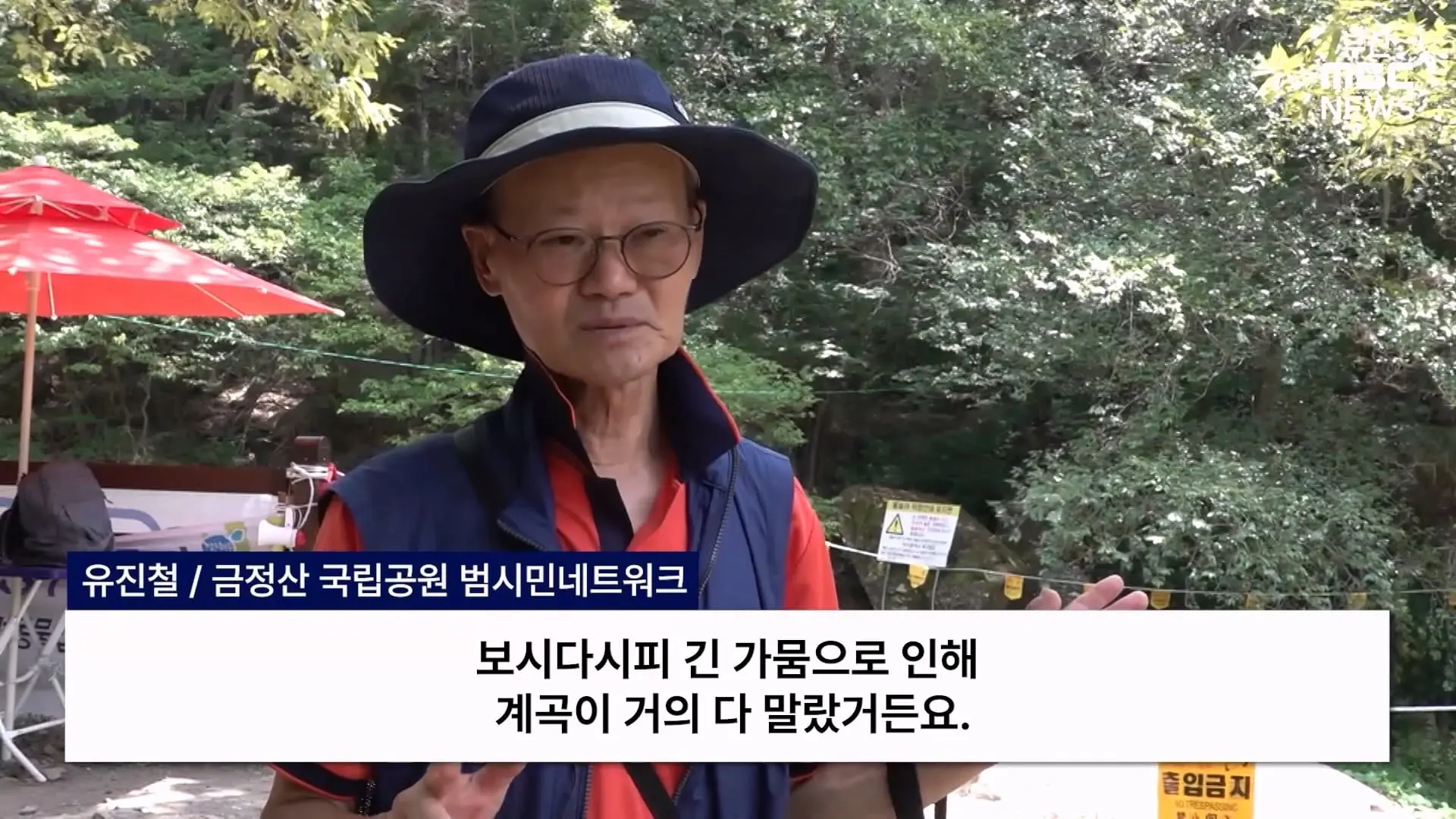 금정산 드넓은 블루베리 농장. 취재 중에 나타난 업주의 변명 _ 자막뉴스_20260808_150825.648.jpg