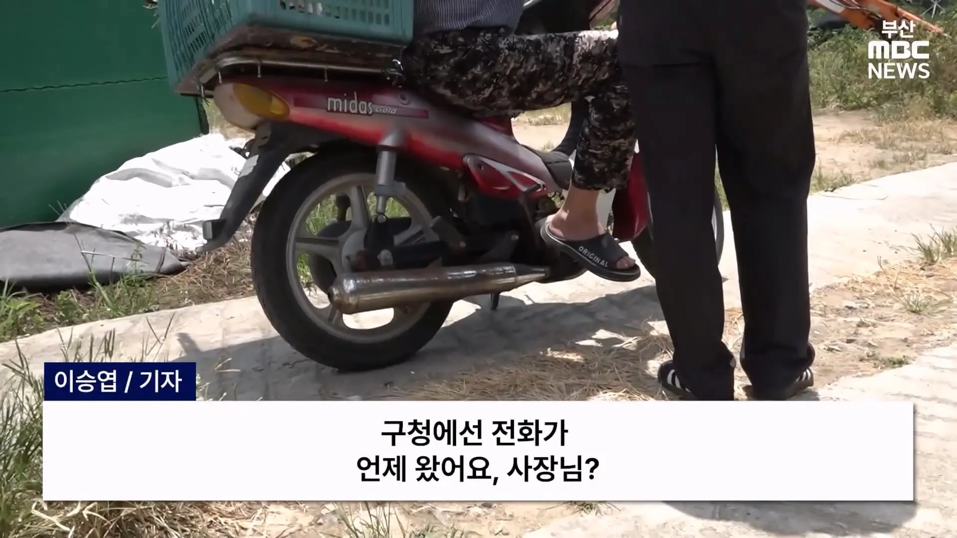 금정산 드넓은 블루베리 농장. 취재 중에 나타난 업주의 변명 _ 자막뉴스_20260808_150508.153.jpg