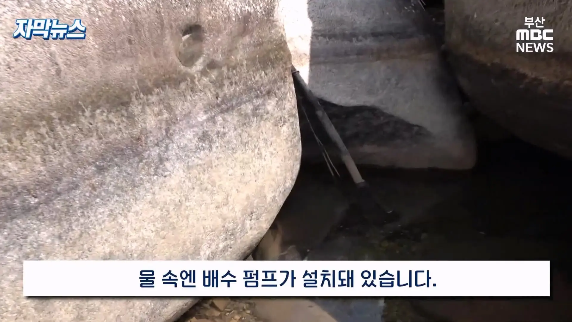 금정산 드넓은 블루베리 농장. 취재 중에 나타난 업주의 변명 _ 자막뉴스_20260808_150927.825.jpg
