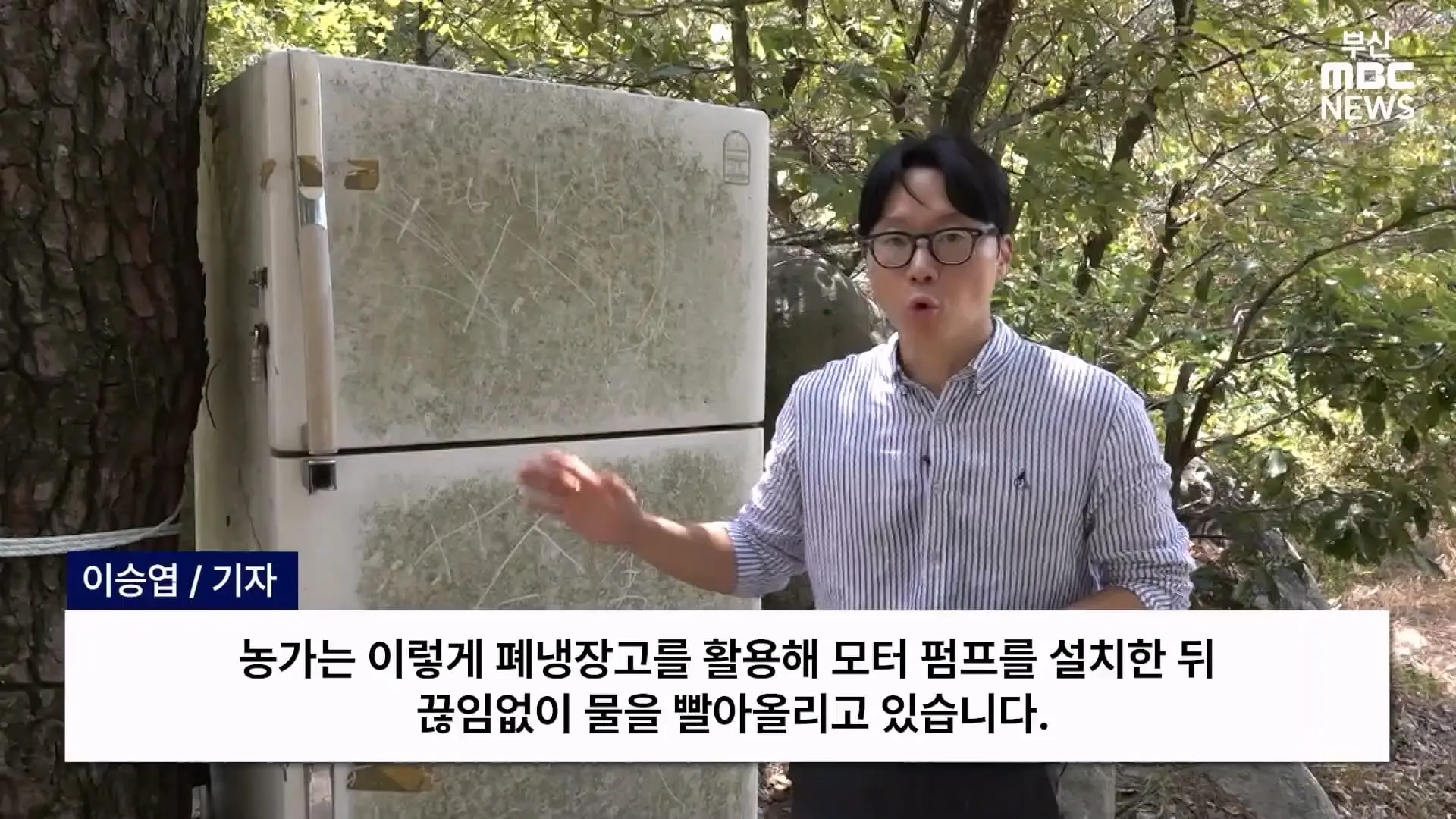 금정산 드넓은 블루베리 농장. 취재 중에 나타난 업주의 변명 _ 자막뉴스_20260808_150232.521.jpg