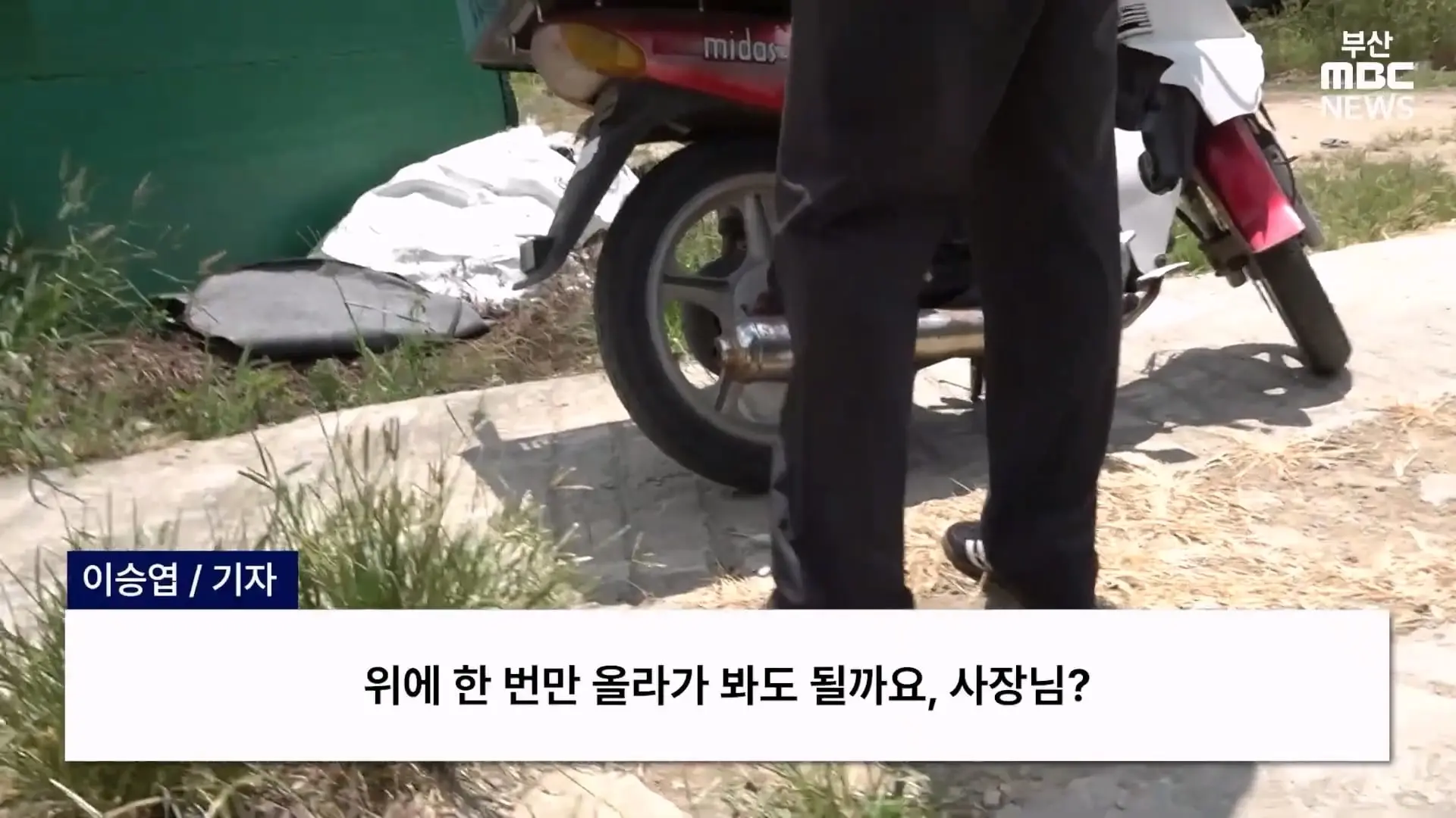 금정산 드넓은 블루베리 농장. 취재 중에 나타난 업주의 변명 _ 자막뉴스_20260808_150819.297.jpg