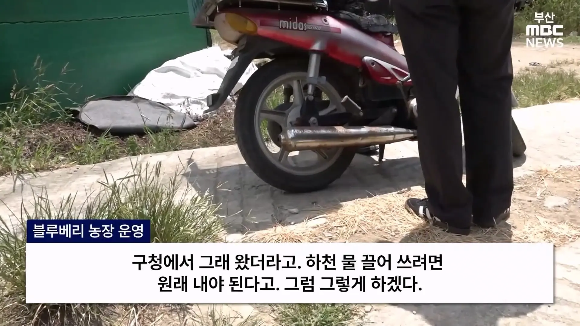 금정산 드넓은 블루베리 농장. 취재 중에 나타난 업주의 변명 _ 자막뉴스_20260808_150629.377.jpg