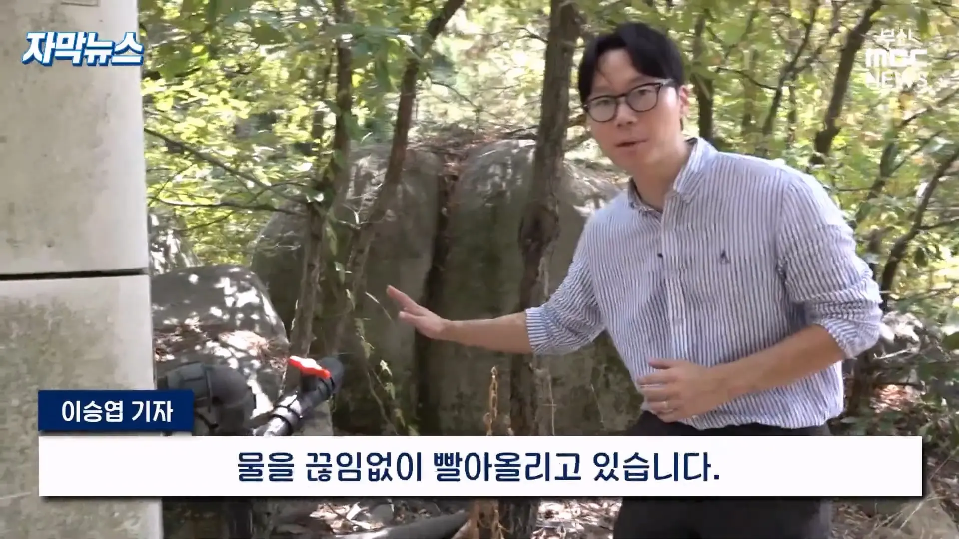 금정산 드넓은 블루베리 농장. 취재 중에 나타난 업주의 변명 _ 자막뉴스_20260808_151013.752.jpg
