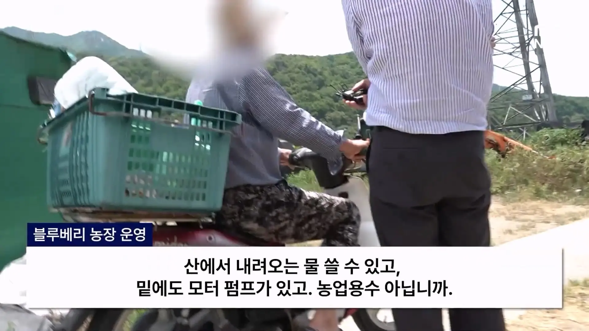 금정산 드넓은 블루베리 농장. 취재 중에 나타난 업주의 변명 _ 자막뉴스_20260808_150249.865.jpg