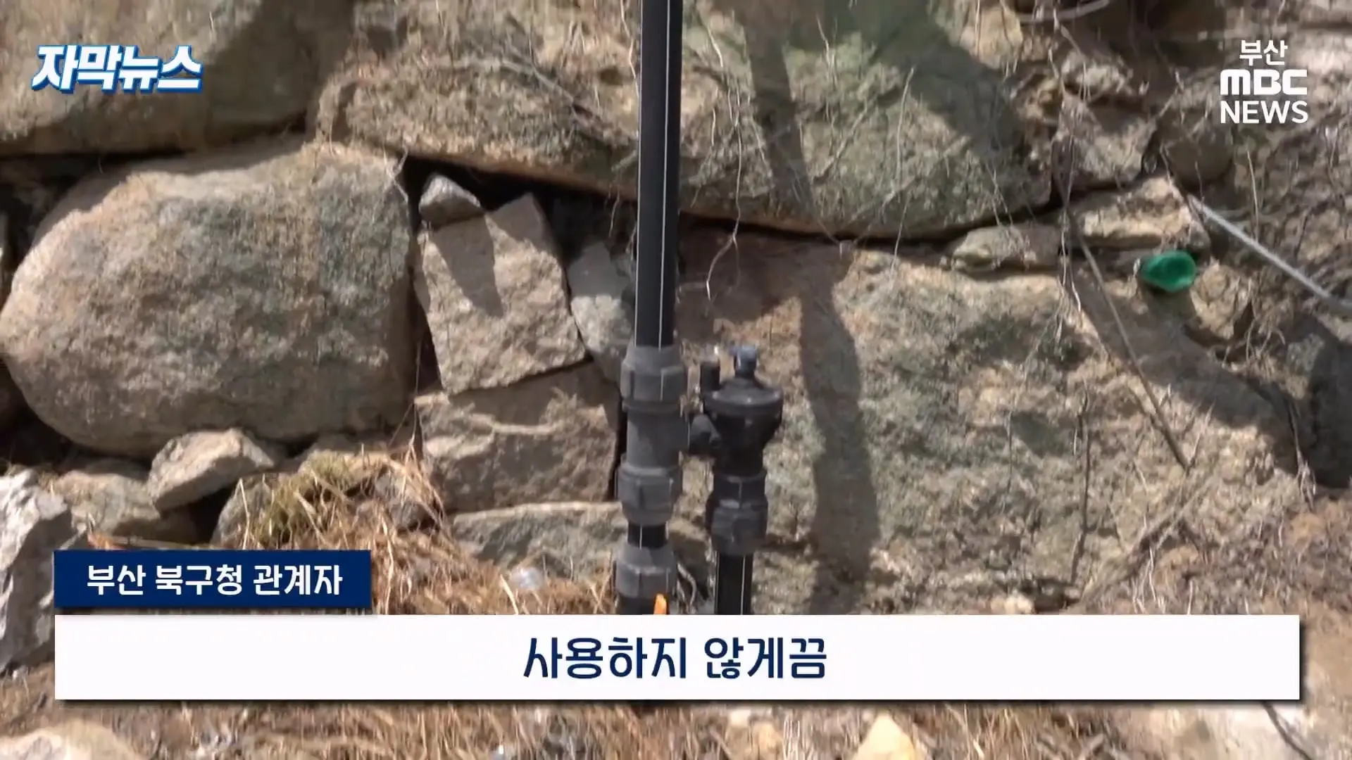 금정산 드넓은 블루베리 농장. 취재 중에 나타난 업주의 변명 _ 자막뉴스_20260808_151042.280.jpg