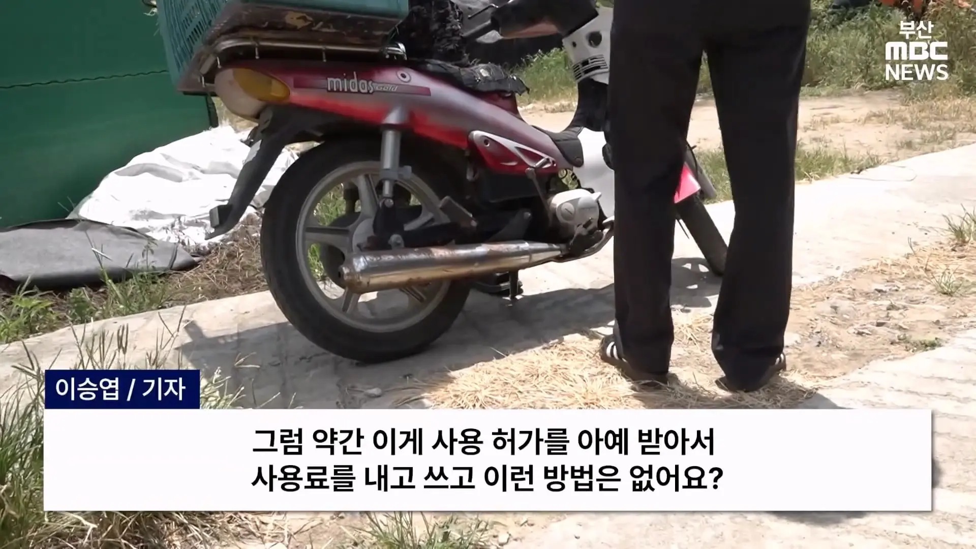 금정산 드넓은 블루베리 농장. 취재 중에 나타난 업주의 변명 _ 자막뉴스_20260808_150539.865.jpg