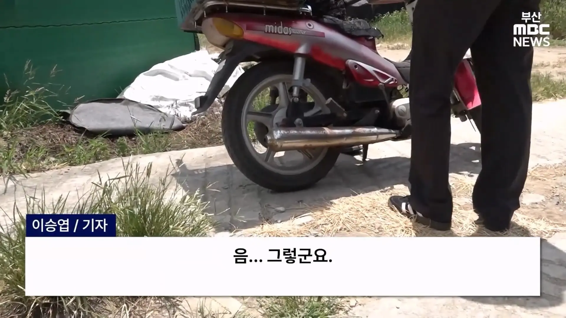 금정산 드넓은 블루베리 농장. 취재 중에 나타난 업주의 변명 _ 자막뉴스_20260808_150627.129.jpg
