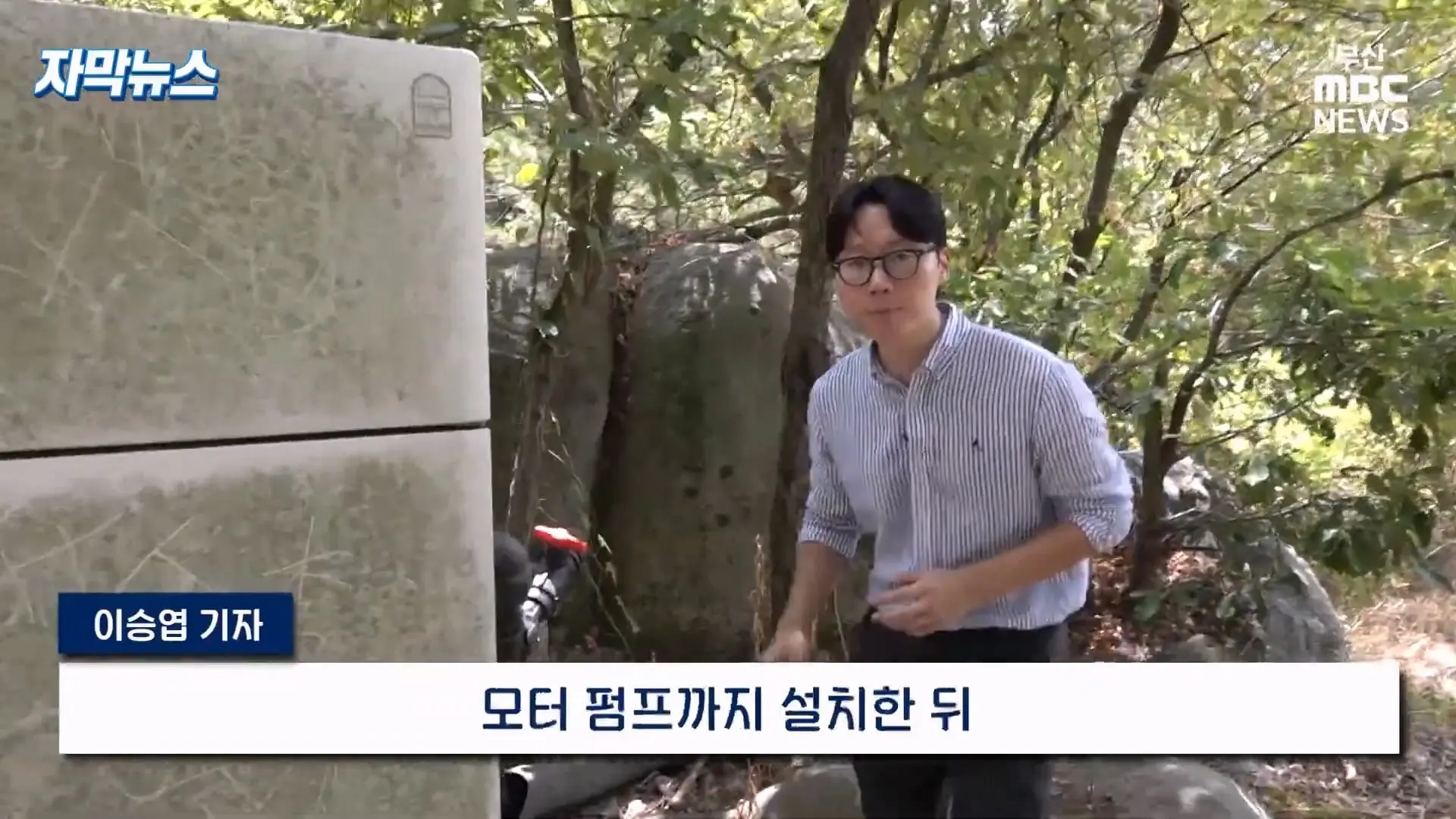 금정산 드넓은 블루베리 농장. 취재 중에 나타난 업주의 변명 _ 자막뉴스_20260808_151011.433.jpg