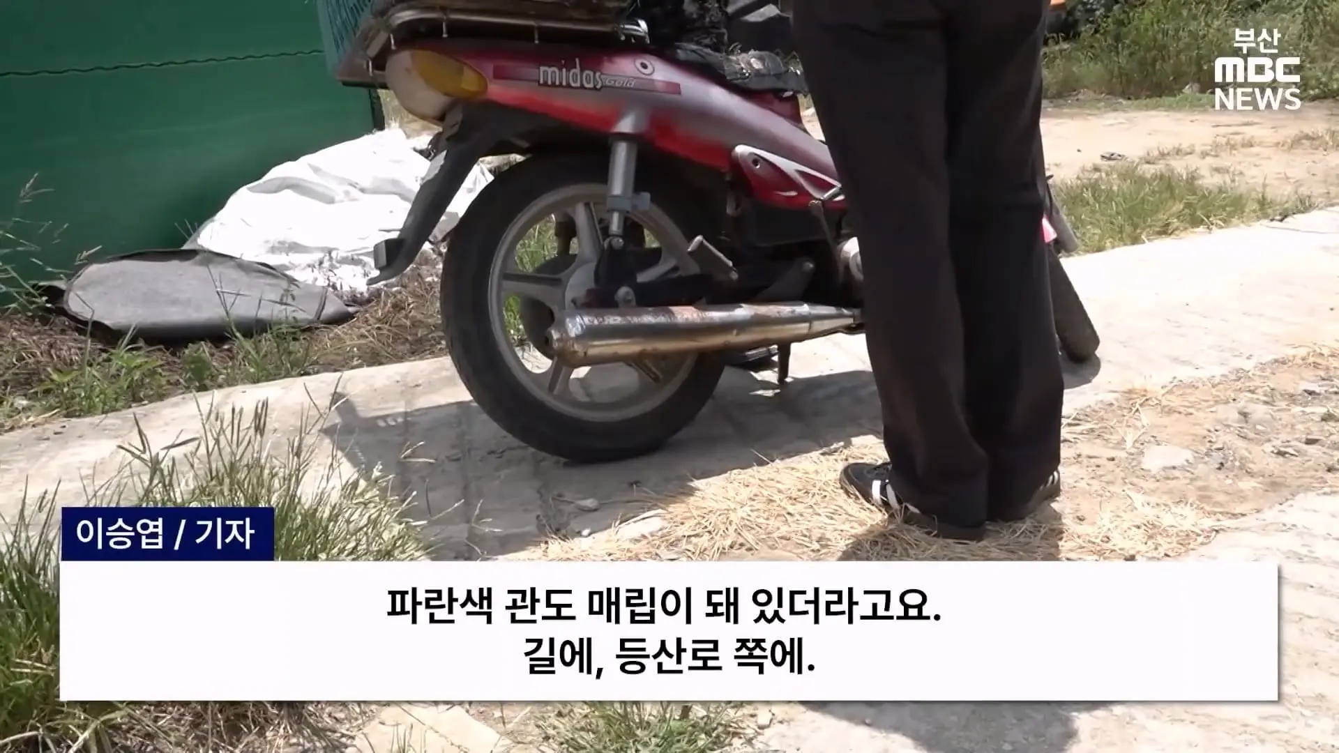 금정산 드넓은 블루베리 농장. 취재 중에 나타난 업주의 변명 _ 자막뉴스_20260808_150700.688.jpg