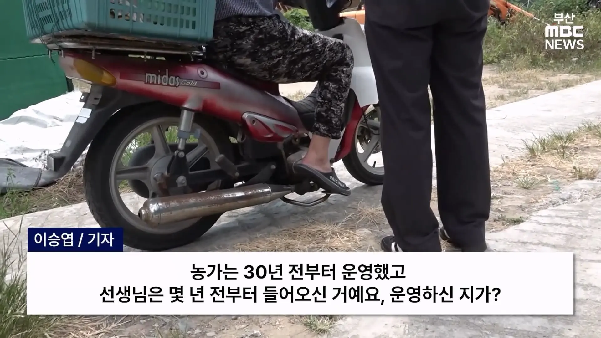 금정산 드넓은 블루베리 농장. 취재 중에 나타난 업주의 변명 _ 자막뉴스_20260808_150323.321.jpg