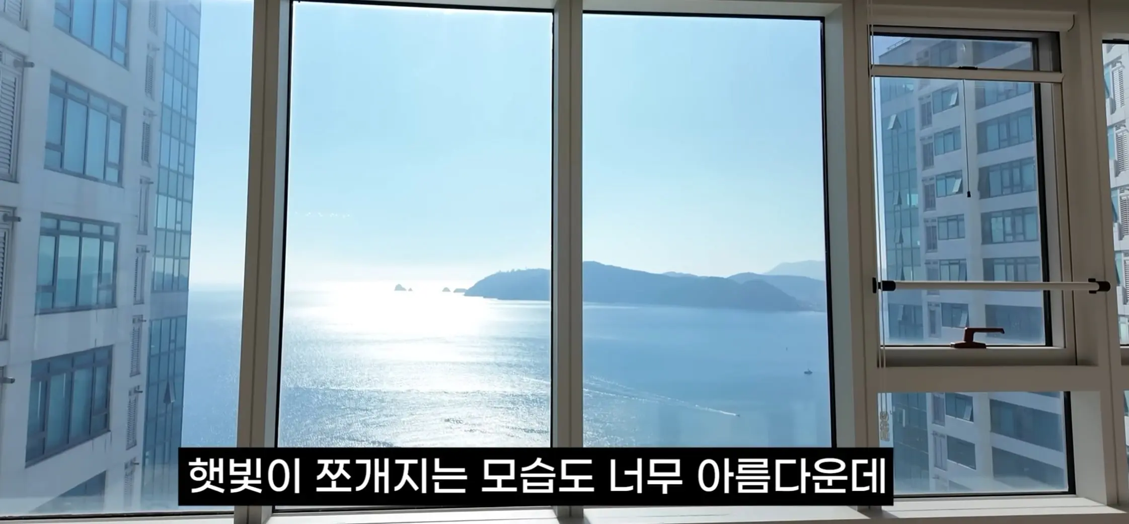 화면 캡처 2026-08-08 212517.jpg