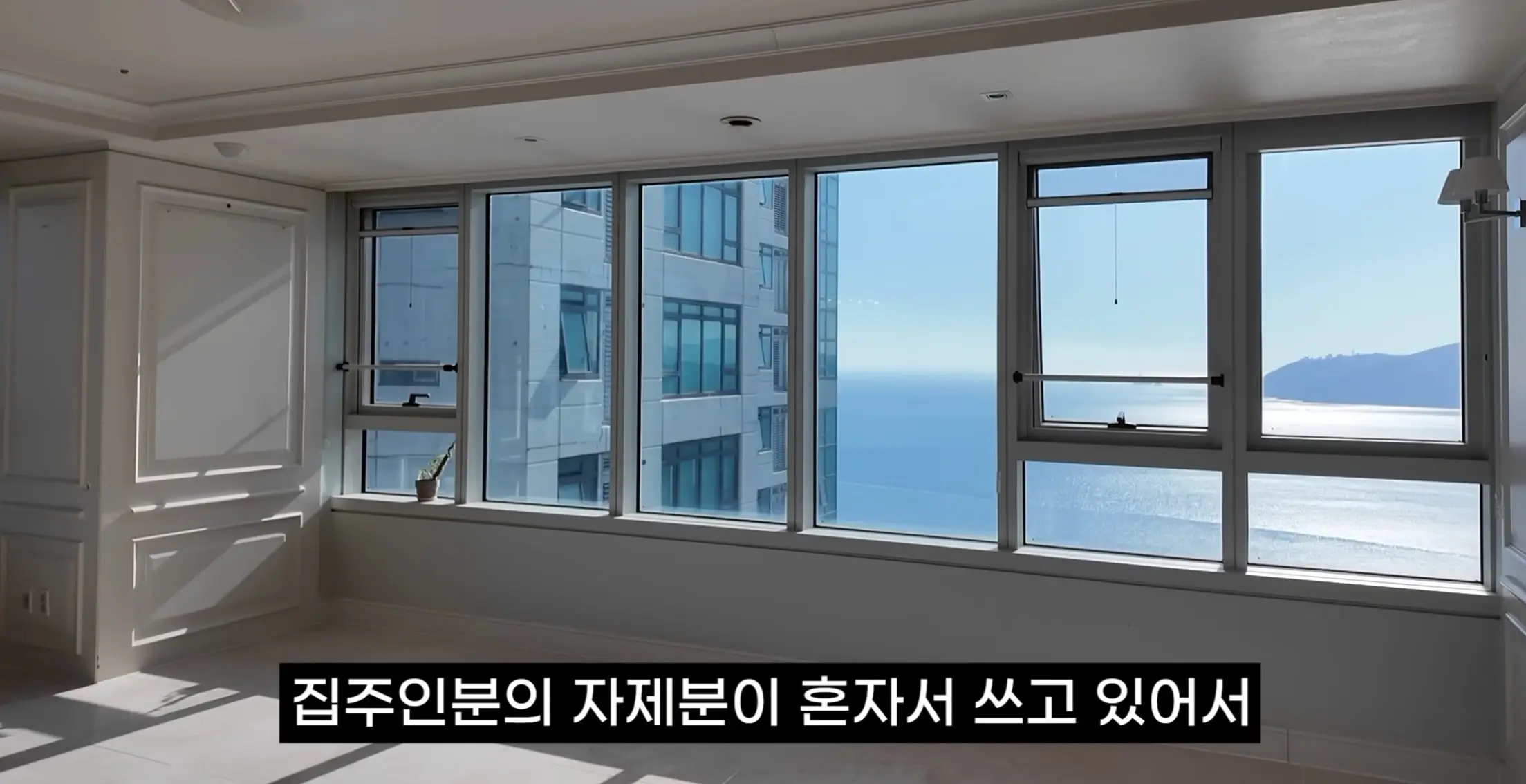 화면 캡처 2026-08-08 212457.jpg
