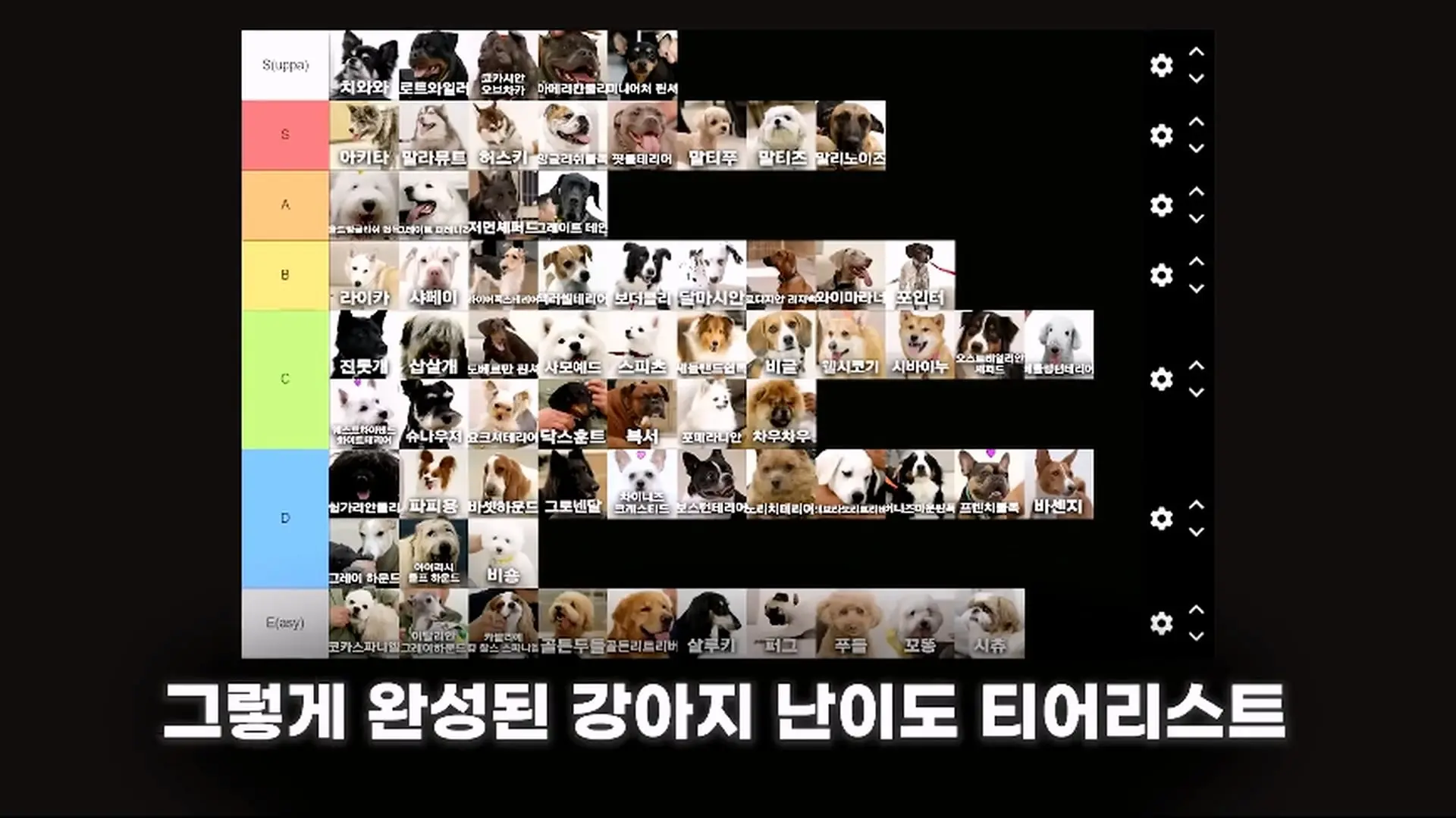 드디어 견종백과 점수 정리합니다 (S급 티어 견종은!_)_20260809_104218.851.jpg