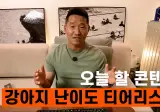 강형욱이 선정한 강아지 키우기 난이도 티어리스트.jpg