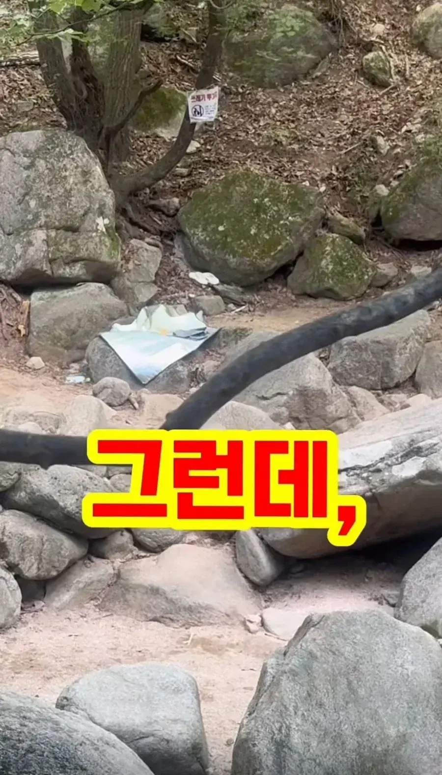 20260809135542_DPEdjSdy8D.webp