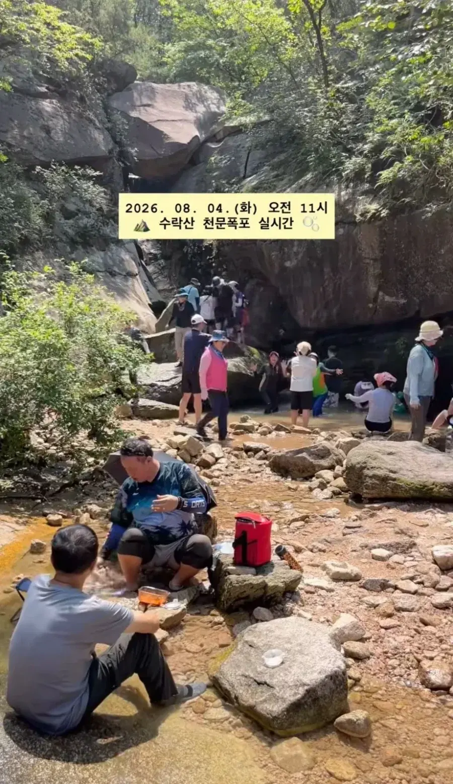 20260809135545_Z6RYgRbHwS.webp