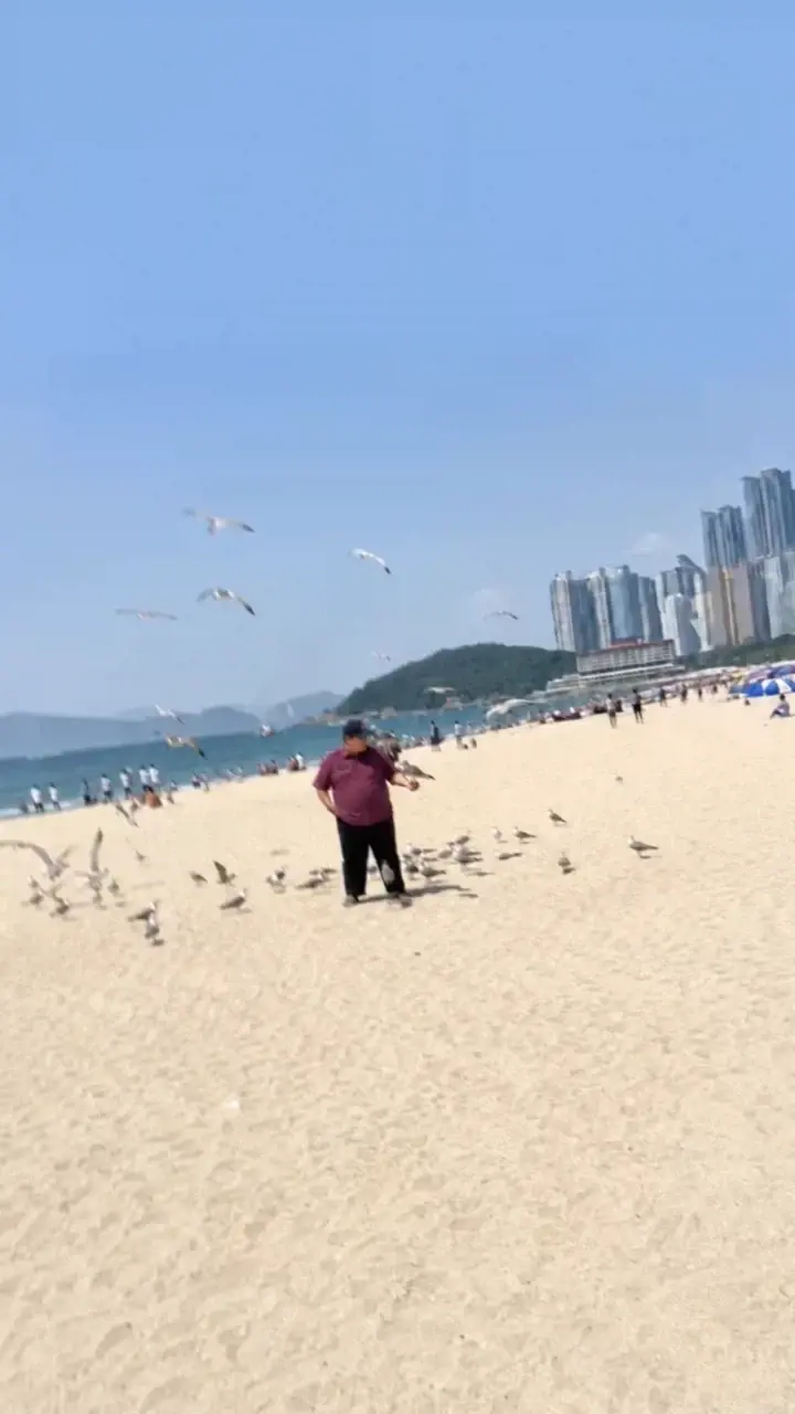 19fe4e556fb4486c3.webp