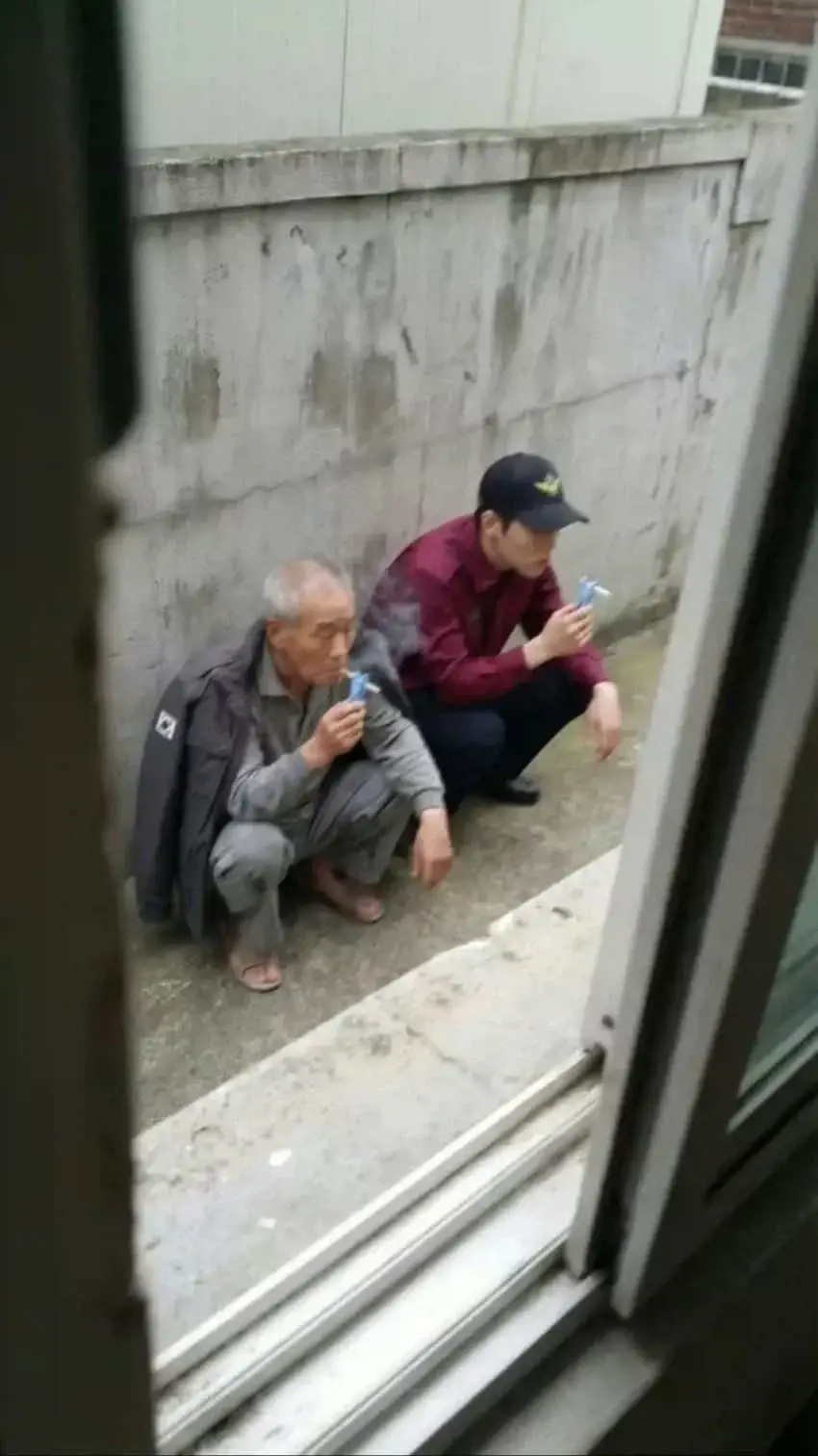 19fe4e4fd554486c3.webp
