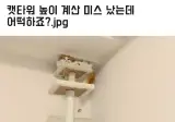 캣타워 높이 계산 미스났는데 어떡하죠??