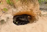 집주인 무시하고 원룸 무단 점거한 세입자.gif