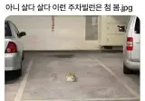 살다살다 이런 주차빌런은 처음 봄;;