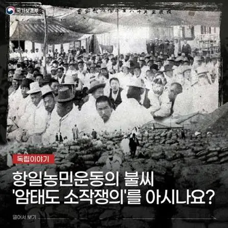 images (1) (18).jpeg