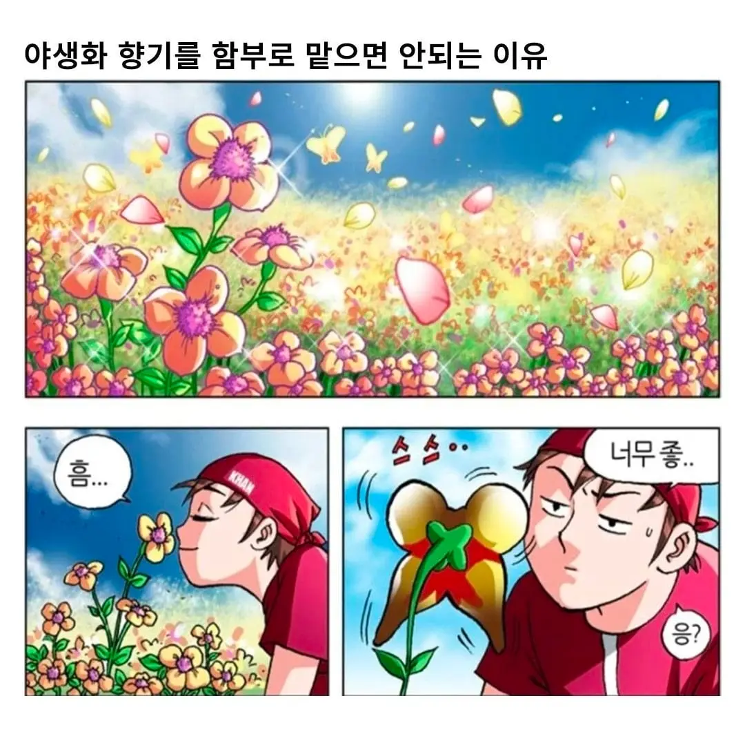Screenshot_20260811_070204_Instagram.jpg